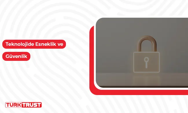 Teknolojide Esneklik ve Güvenlik