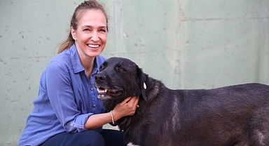 1 yılda 40 bin can dosta şefkat eli uzandı